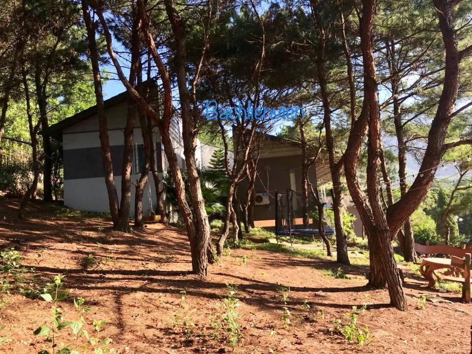 Bachlien Pine Forest Villa Hanoi Dış mekan fotoğraf