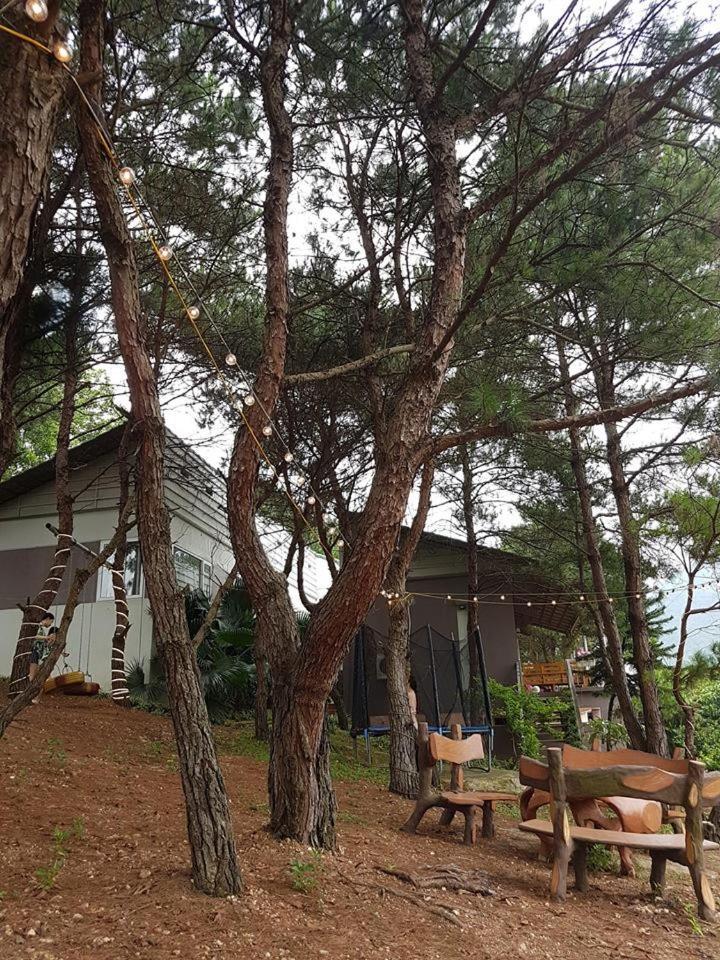 Bachlien Pine Forest Villa Hanoi Dış mekan fotoğraf