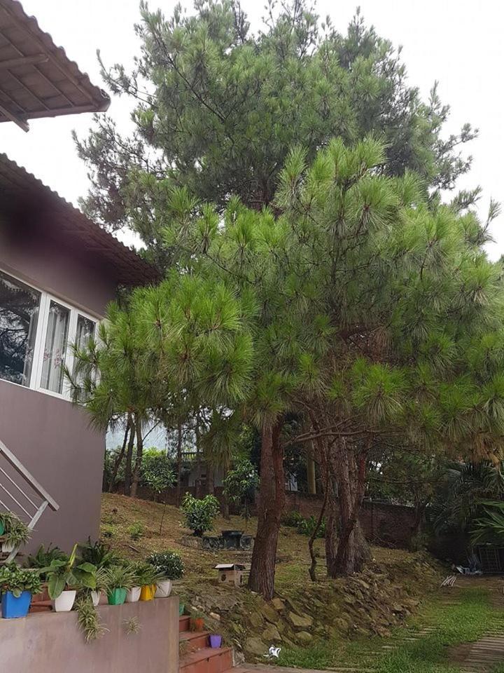 Bachlien Pine Forest Villa Hanoi Dış mekan fotoğraf